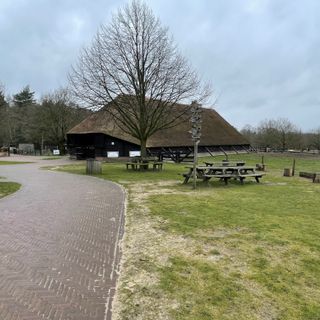 KUNST bij de KOOI - WOL IN WEER EN WIND