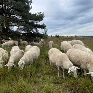 Fotofietsroute de KUDDE